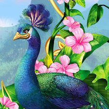 Схема вышивки «Павлин»