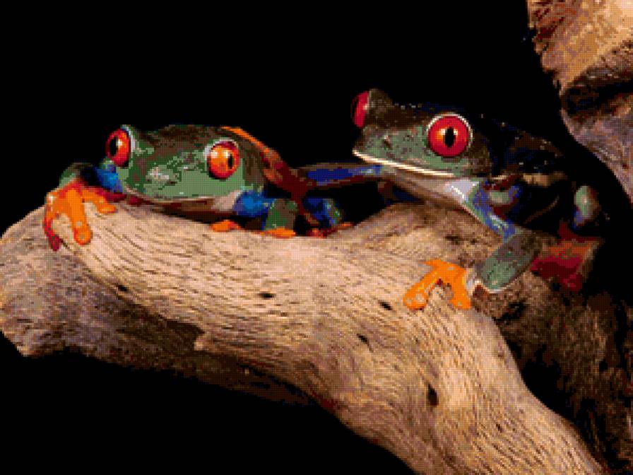 Серия "Лягушки" 2 - предпросмотр