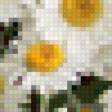 Предпросмотр схемы вышивки «ромашки» (№126303)