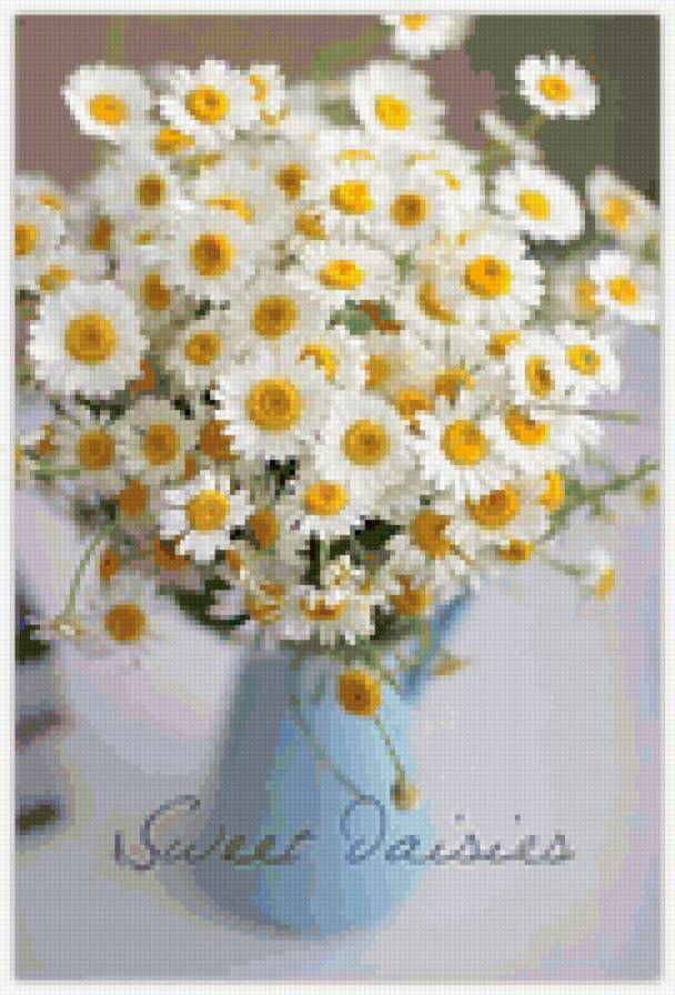 ромашки - ромашки, цветы - предпросмотр