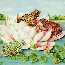 Схема вышивки «Серия "Лягушки" 20»