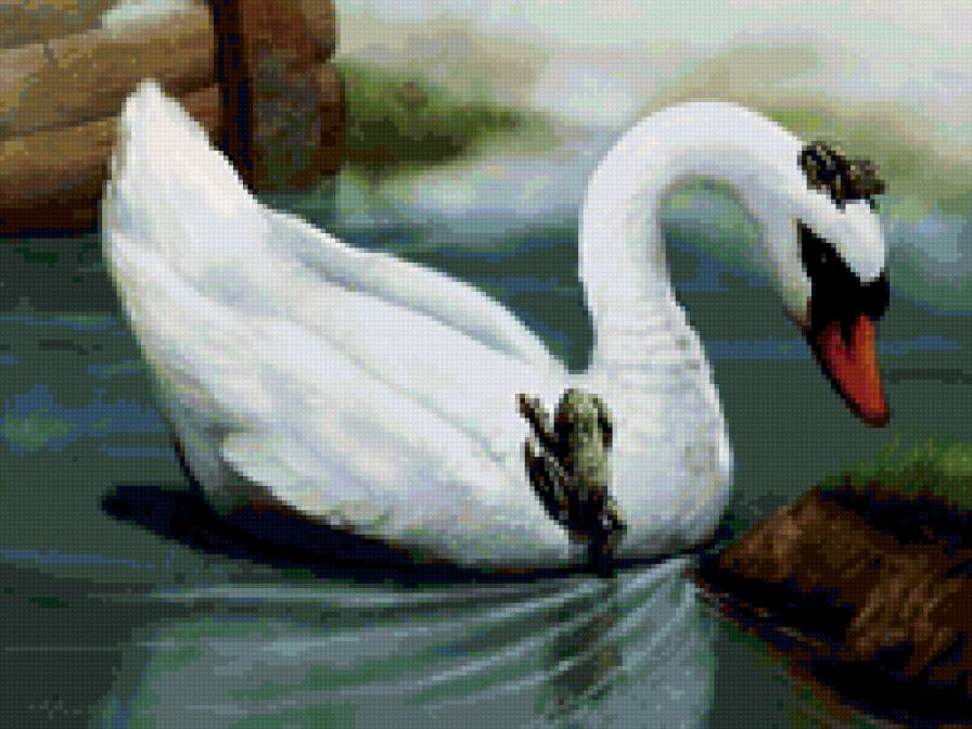 Принцесса-лебедь - картина, птицы - предпросмотр