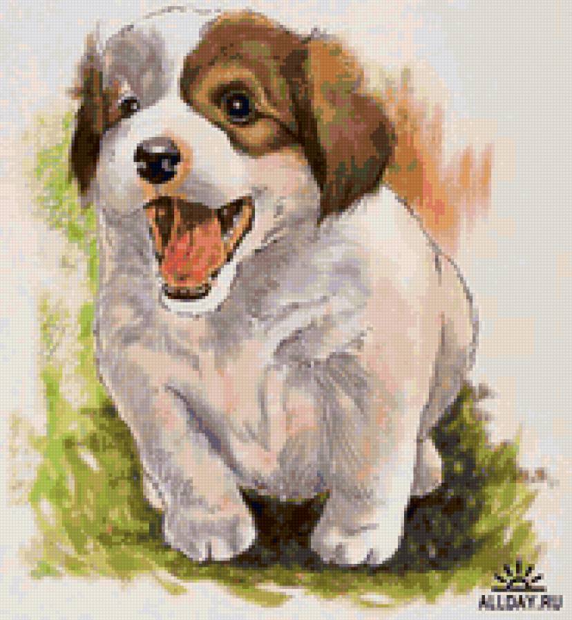 Щенок - животные, щенки, собаки - предпросмотр