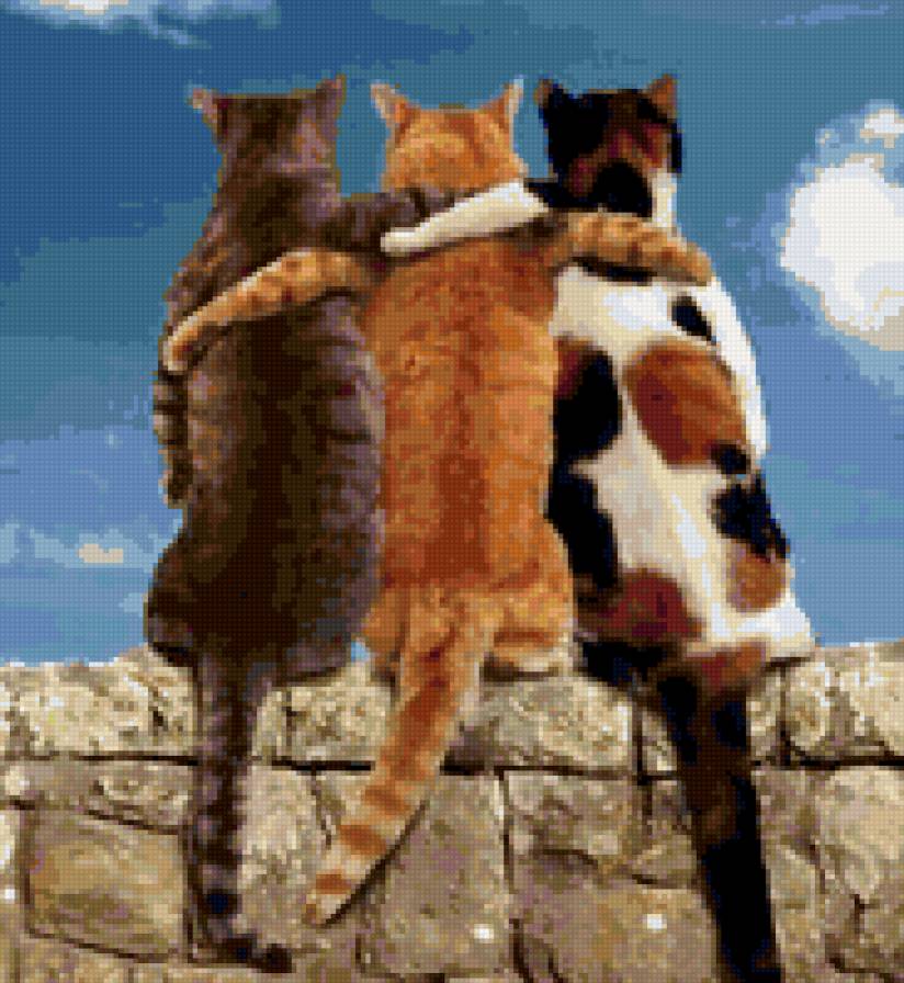 друзьям - дружба, коты - предпросмотр