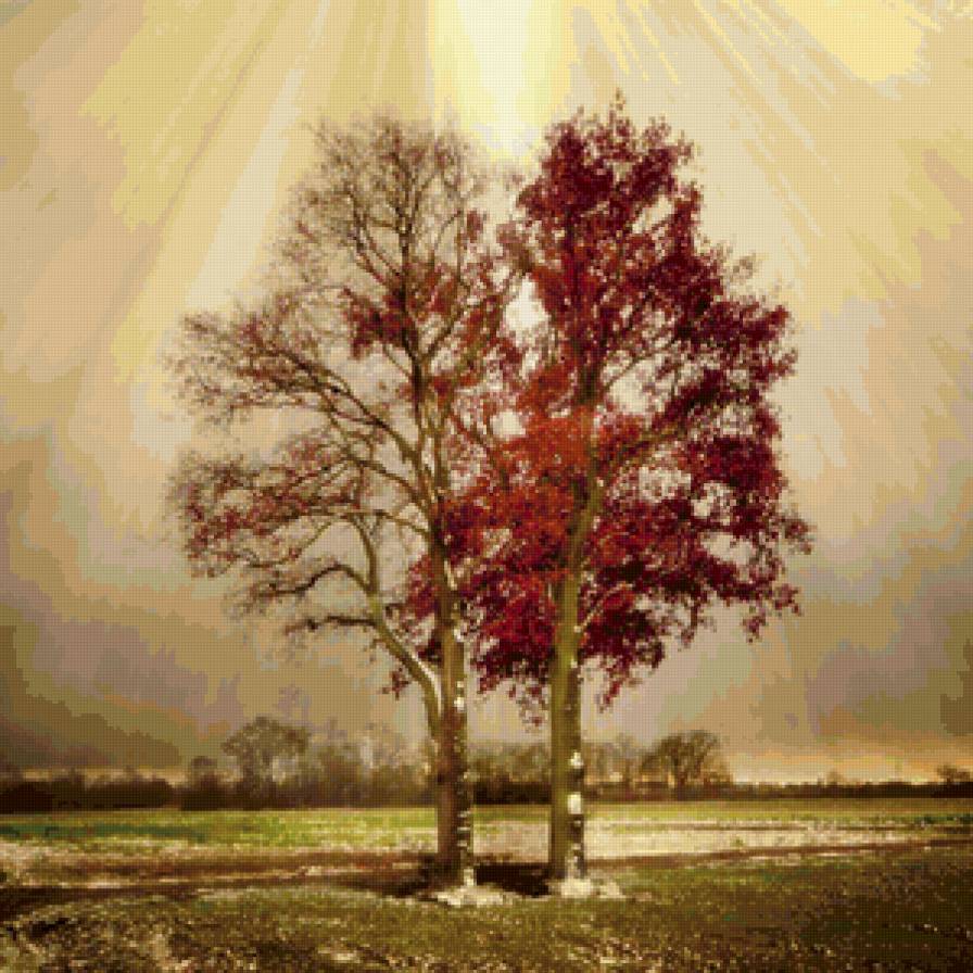 золото и пурпур осени - осень, природа, фэнтези, деревья - предпросмотр