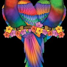 Схема вышивки «Попугаи»