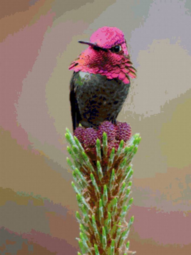 Птичка невеличка - птичка - предпросмотр