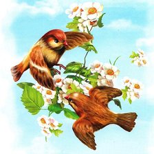 Схема вышивки «Весенние пташки»