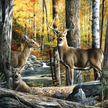 Схема вышивки «Олени»