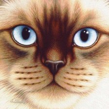 Кошачья серия