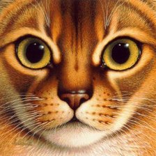 Схема вышивки «Кошачья серия»