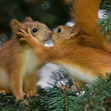 Схема вышивки «Любоффь»