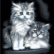 Сладкая парочка