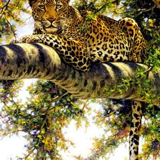 Схема вышивки «хищник»