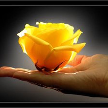 Схема вышивки «Для тебя»