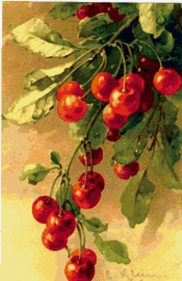 черешня - предпросмотр