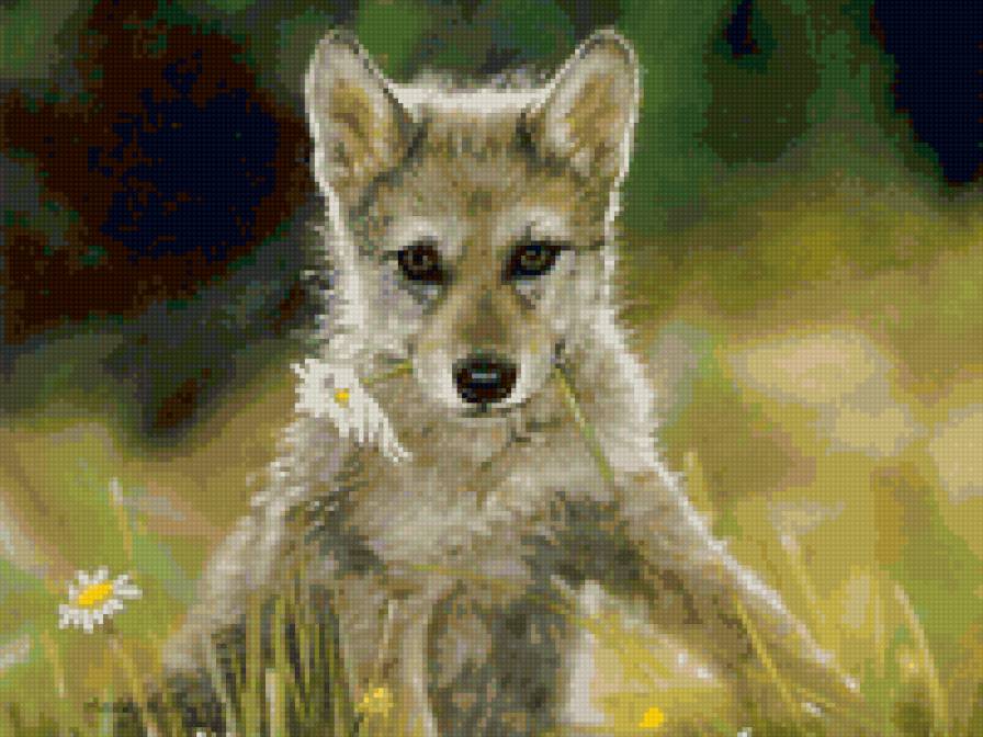 Волчонок с ромашкой - волки, животные - предпросмотр