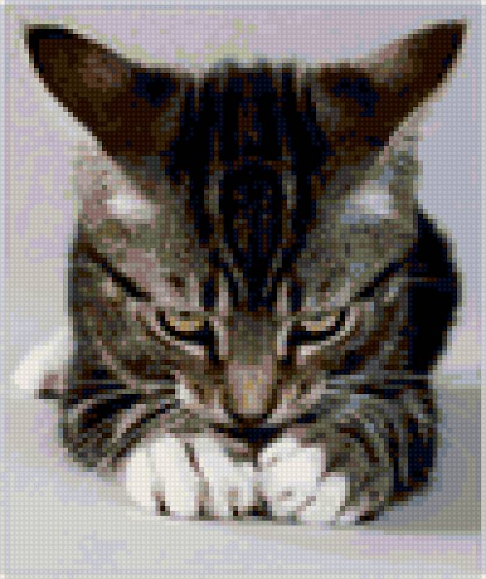 Котёнок - кошки, животные - предпросмотр