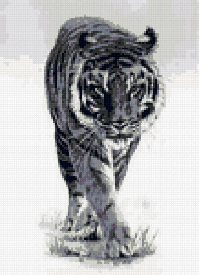 Тигра 2 - предпросмотр