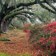 Схема вышивки «Пейзаж»