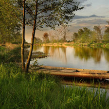 Схема вышивки «Пейзаж»