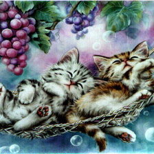 Схема вышивки «Сиеста»