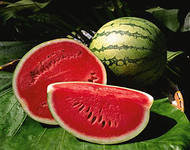 Схема вышивки «арбуз»