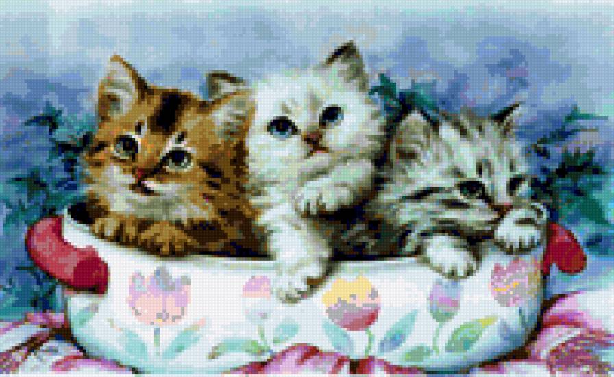 Рыжий, белый, серый - кошка - предпросмотр