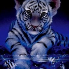 Схема вышивки «Тигрёнок анимашка»