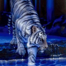 Схема вышивки «Тигр анимашка»