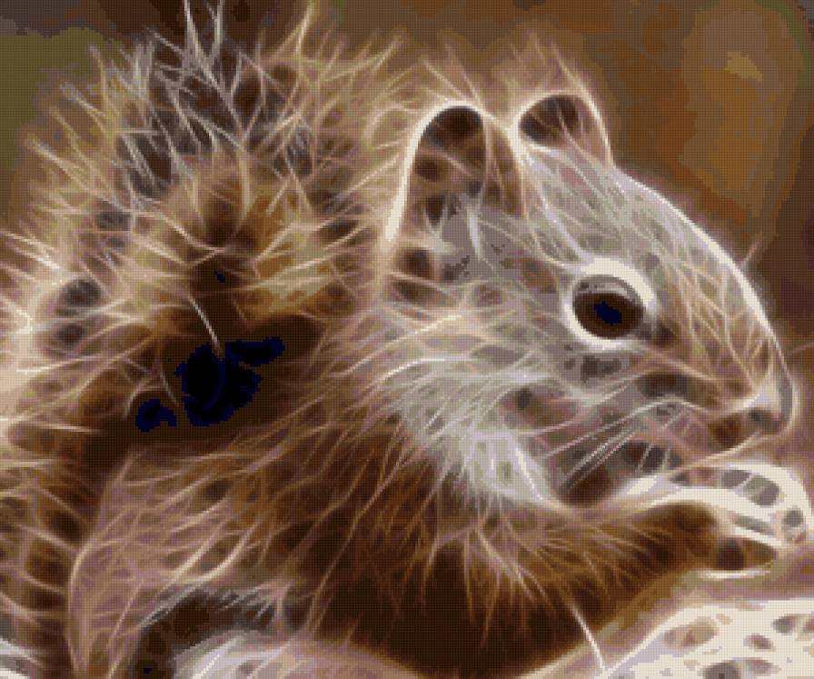 №127558 - предпросмотр