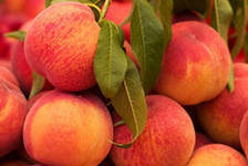 Схема вышивки «персики»