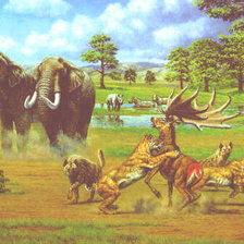 Схема вышивки «саванна»