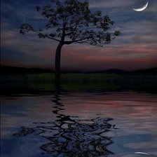 Схема вышивки «Ночной пейзаж»