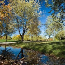 Схема вышивки «Прозрачная осень»