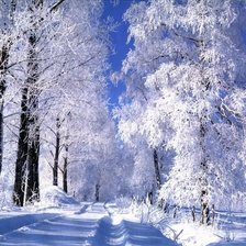 Схема вышивки «Зимняя дорога»