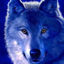 Схема вышивки «волк»