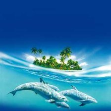 Схема вышивки «дельфины»