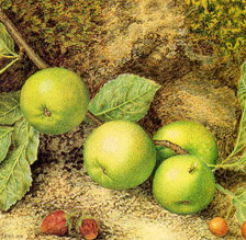 Схема вышивки «№127908»