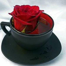 Тебе, любимая