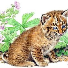 Схема вышивки «Дикие кошки»
