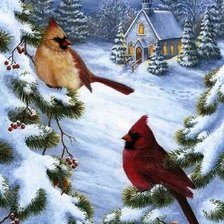 Схема вышивки «Кардиналы»