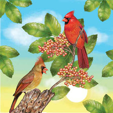 Схема вышивки «№128137»