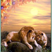 красивые закаты