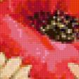 Предпросмотр схемы вышивки «Маки, васильки и ромашки» (№128545)