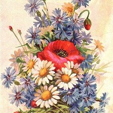 Схема вышивки «Маки, васильки и ромашки»