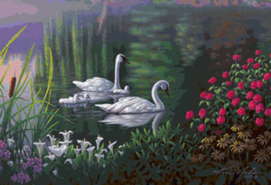 Лебеди - озеро, птицы - предпросмотр