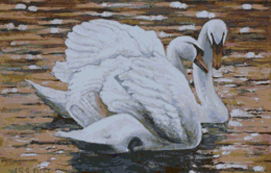 LEBEDI - lebedi - предпросмотр