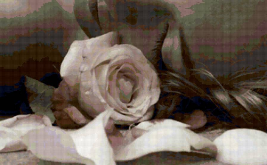 На заре ты ее не буди... - девушка, романтика - предпросмотр