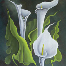 Схема вышивки «Каллы»